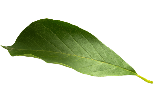 green-left