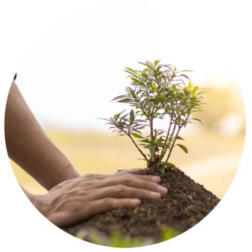 sustainbility