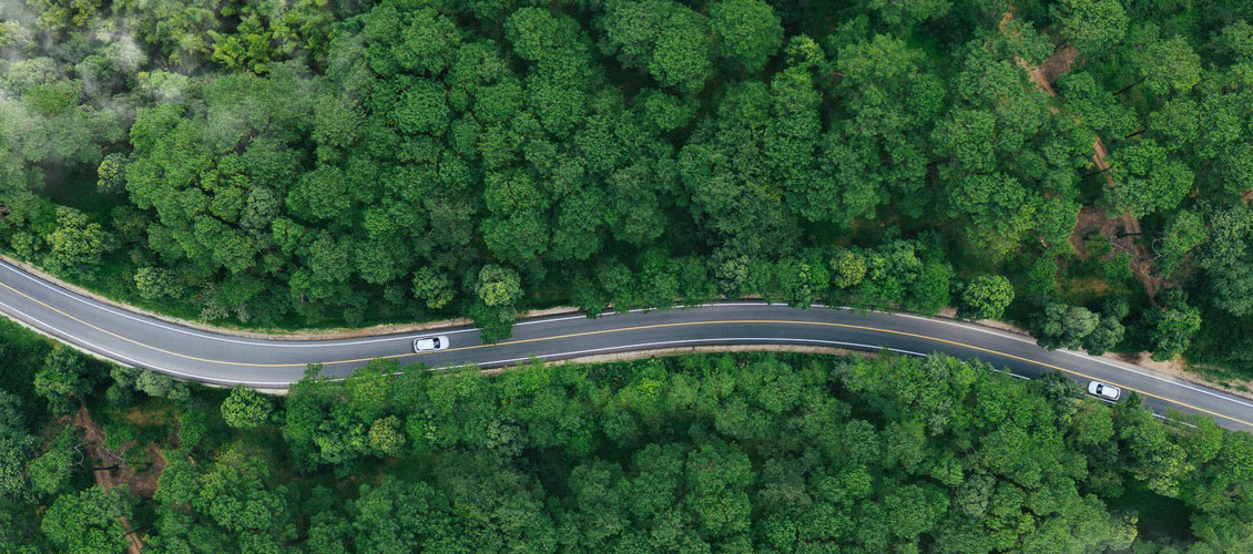 sustainbility