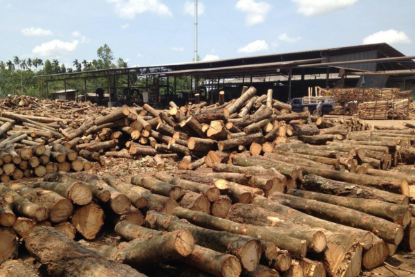 Forest Management